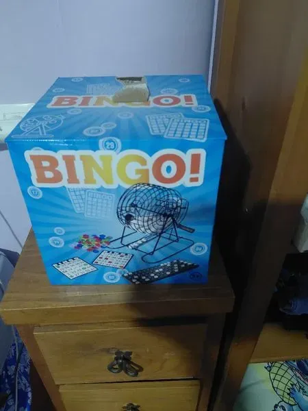 Juego de bingo con bombo