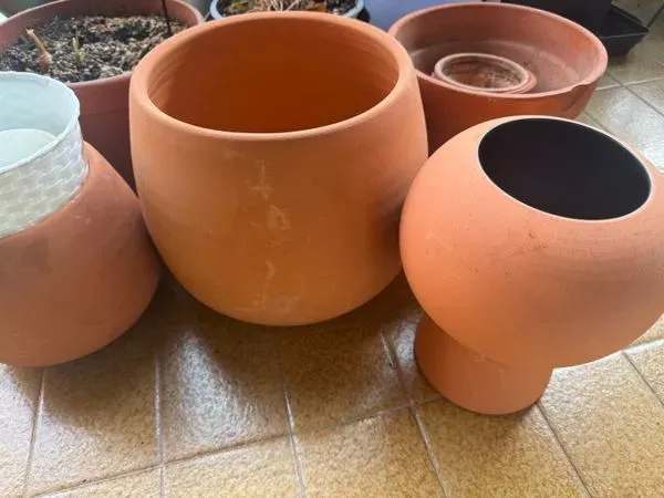 Macetas de terracota grandes